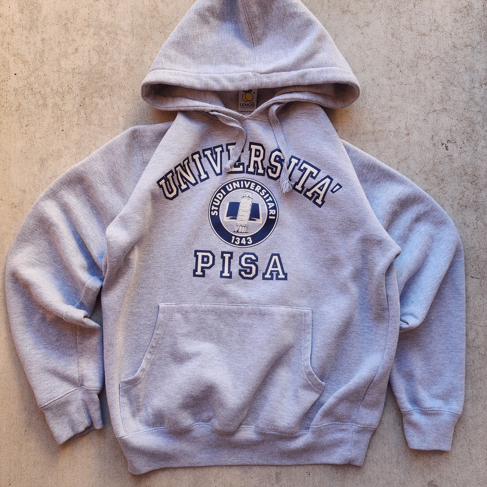 Vintage Top Line Lemon Collection Gray Studi Universita of Pisa Hoodie, Adult‎ M